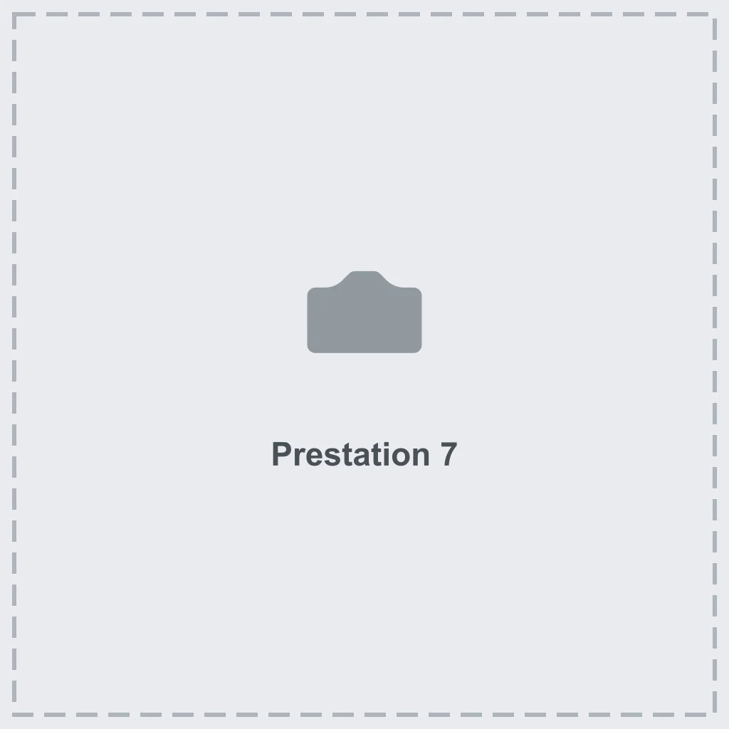Prestation 7